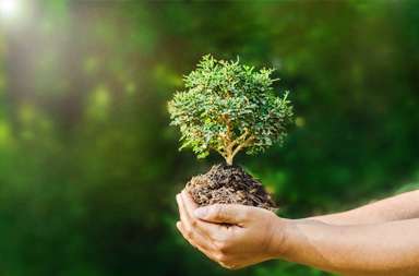 保健品化妆品协会