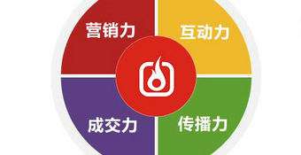 网络营销的策略分析